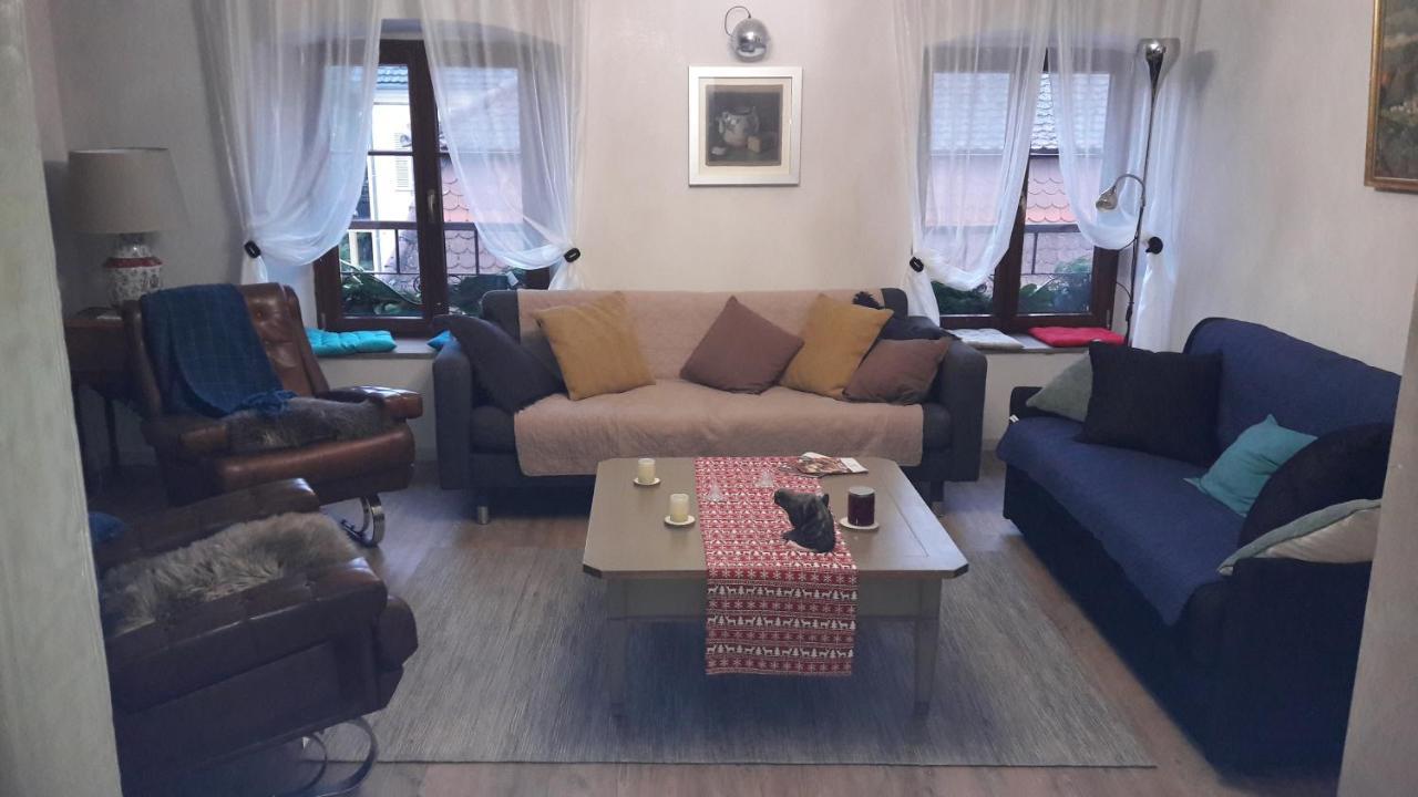 Au fil de l'écriture - Appartement sur la Route des Vins à riquewihr Esterno foto